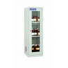 Armoire de sécurité pour stockage pour produits chimiques - Exacta