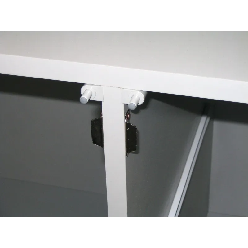 Armoire de stockage pour produits chimiques et corrosifs 2 portes