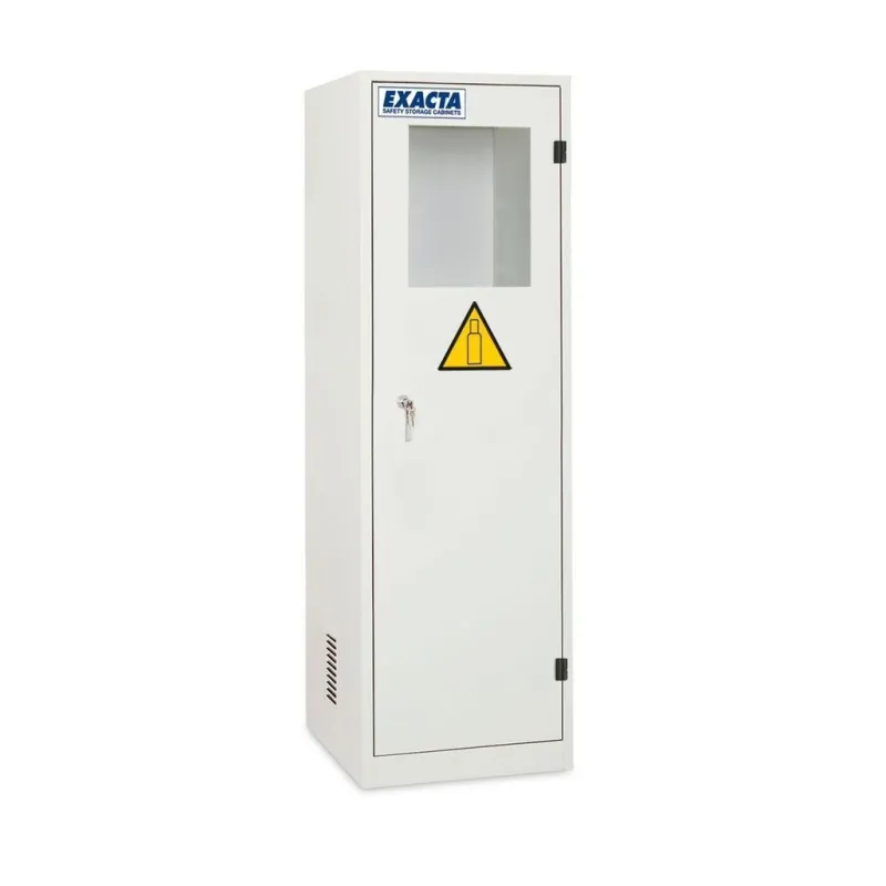 Armoire pour le stockage de bouteille de gaz 1 porte