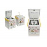 Coffre stockage produits inflammables