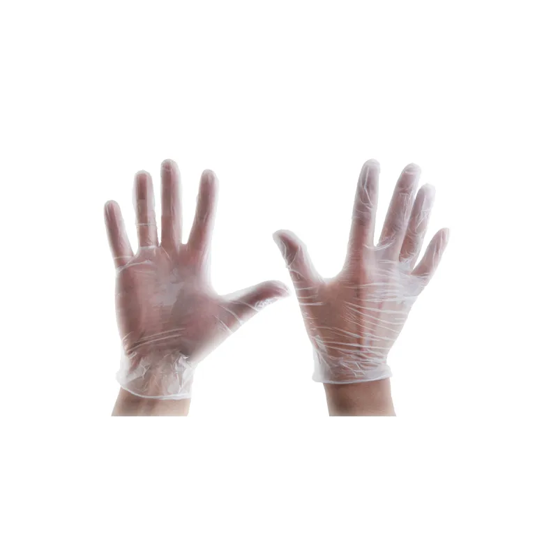 Gants vinyle non poudré